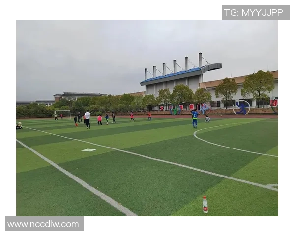 大学俱乐部足球：培养年轻人才与提升竞技水平的双重使命