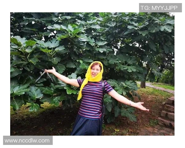 深度对话：王强如何在DOTA2中找到人生的意义与激情