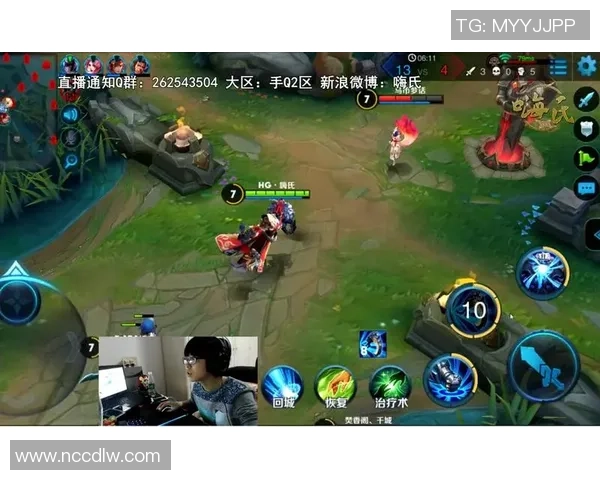 王者荣耀战队FPX的游戏意识与团队协作深度分析