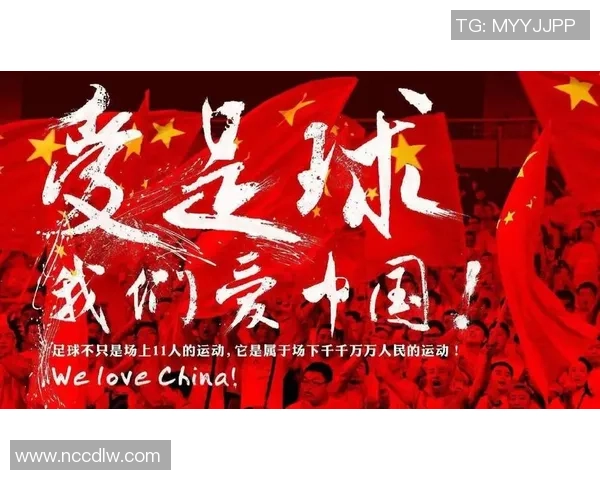 宁波腾足球：携手共进打造地方足球新风尚与未来发展蓝图