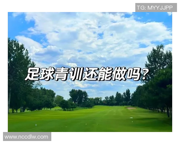 中国足球的崛起与挑战：从青训体系到职业联赛的全面解析与展望