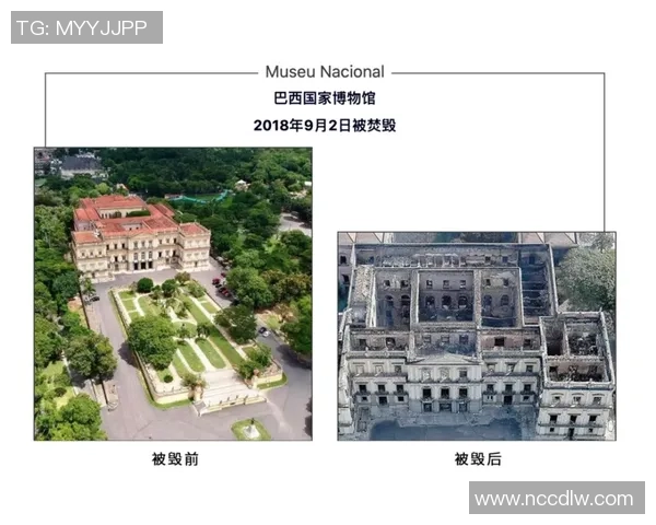 巴西足球图案的魅力与文化传承探讨