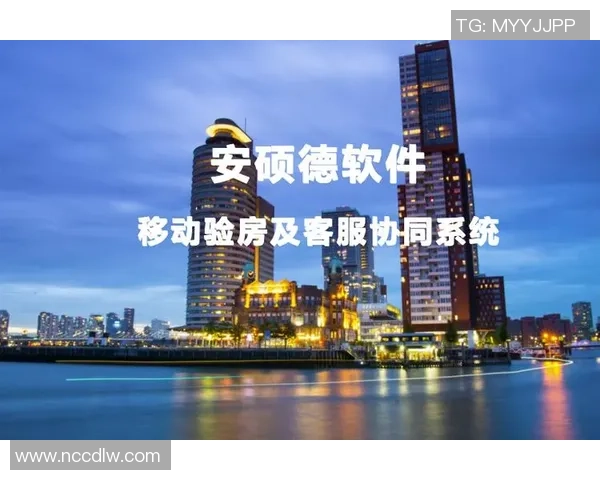 提升足球场馆运营效率的创新策略与管理模式探讨