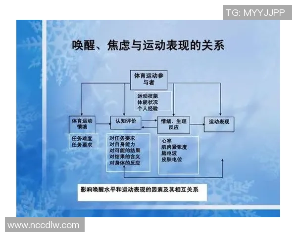 探索心理足球等级对运动员表现与心理素质的影响及提升策略