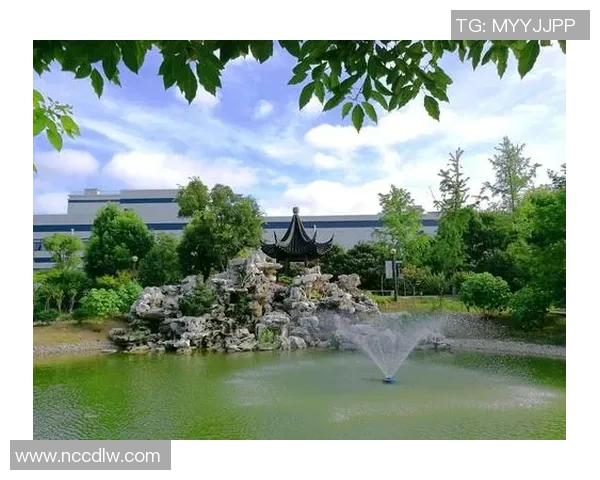 滑板战术解析：探索上海滑板队的边路渗透与战术创新之路